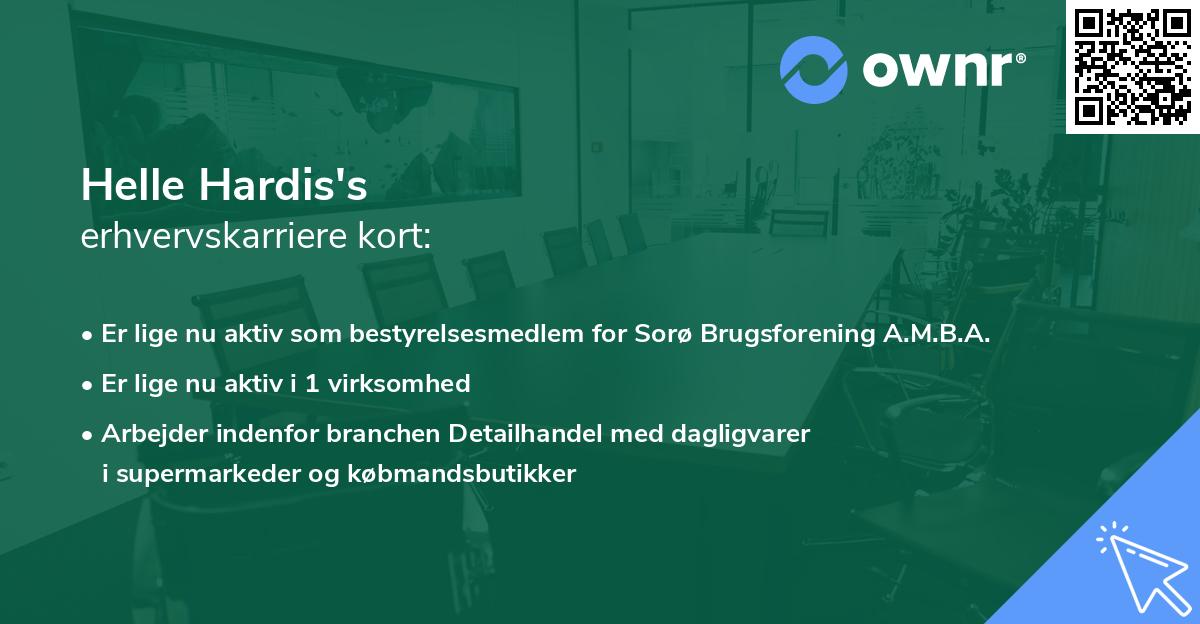 Helle Hardis's erhvervskarriere kort