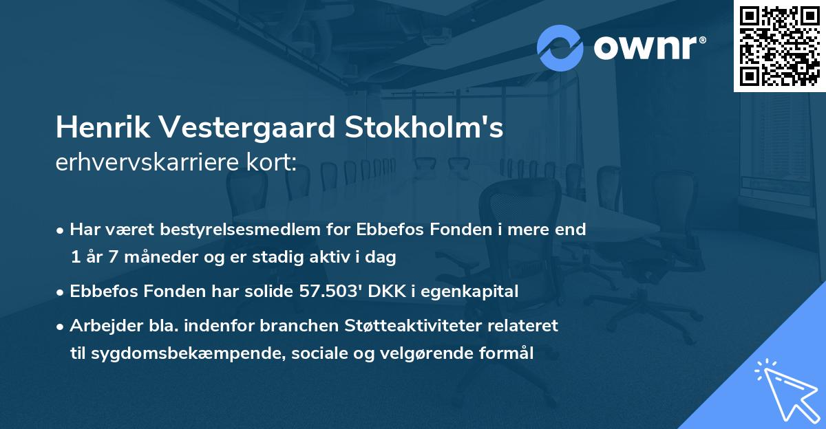 Henrik Vestergaard Stokholm's erhvervskarriere kort