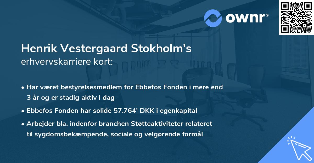 Henrik Vestergaard Stokholm's erhvervskarriere kort