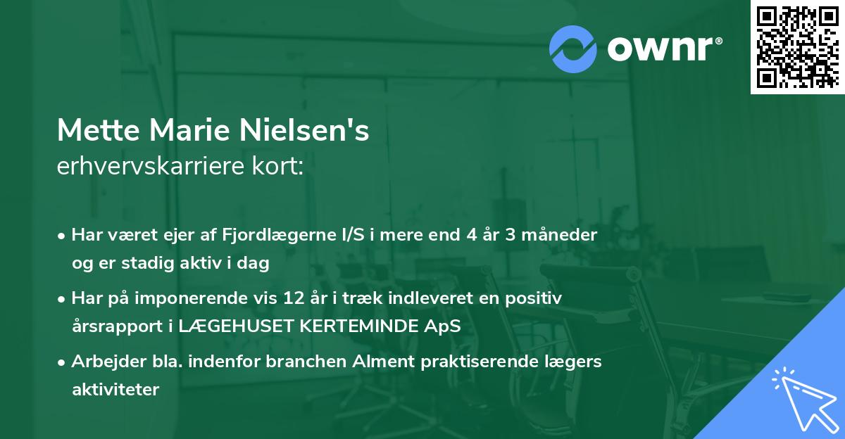 Mette Marie Nielsen's erhvervskarriere kort