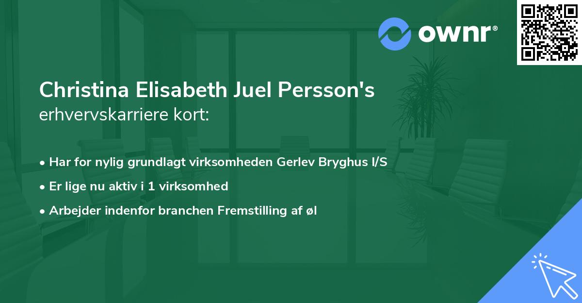 Christina Elisabeth Juel Persson's erhvervskarriere kort