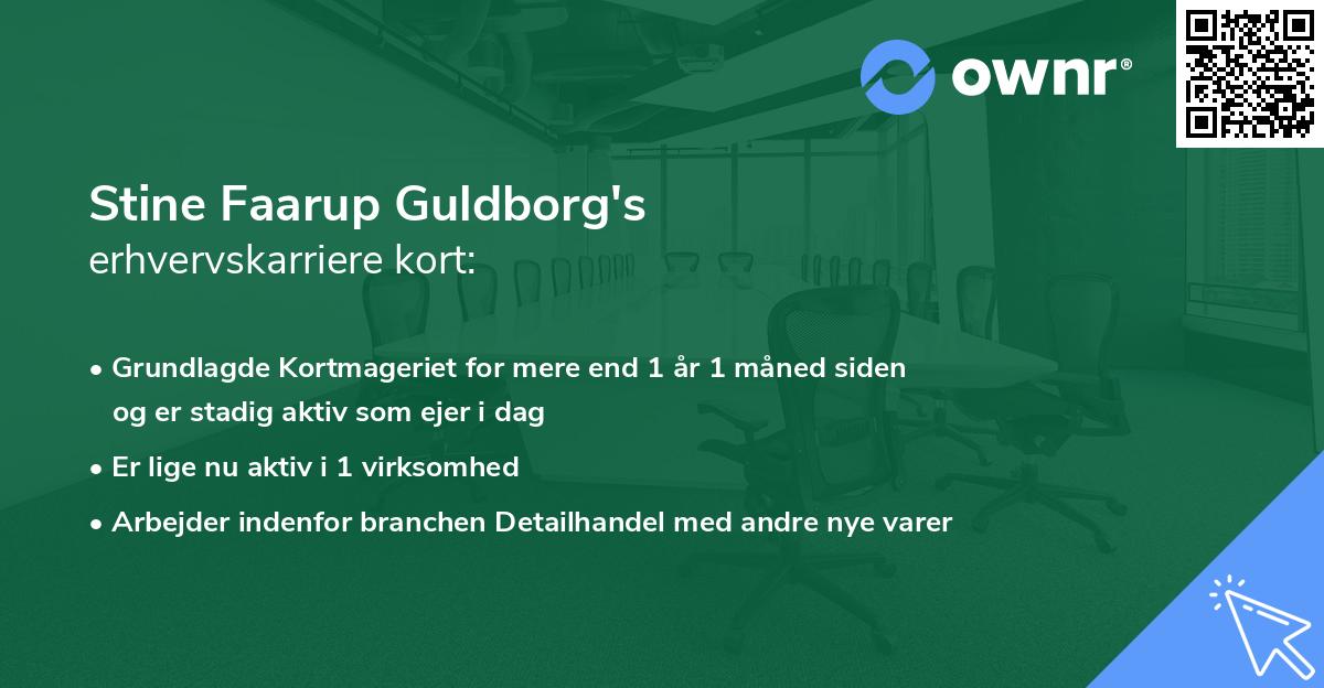 Stine Faarup Guldborg's erhvervskarriere kort