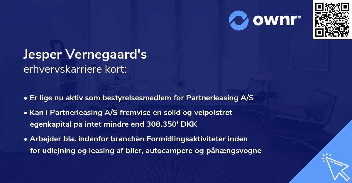 Jesper Vernegaard's erhvervskarriere kort
