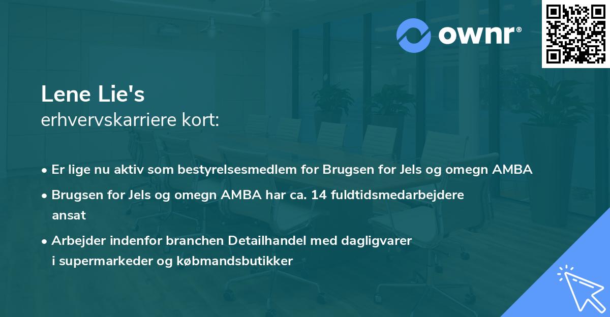 Lene Lie's erhvervskarriere kort