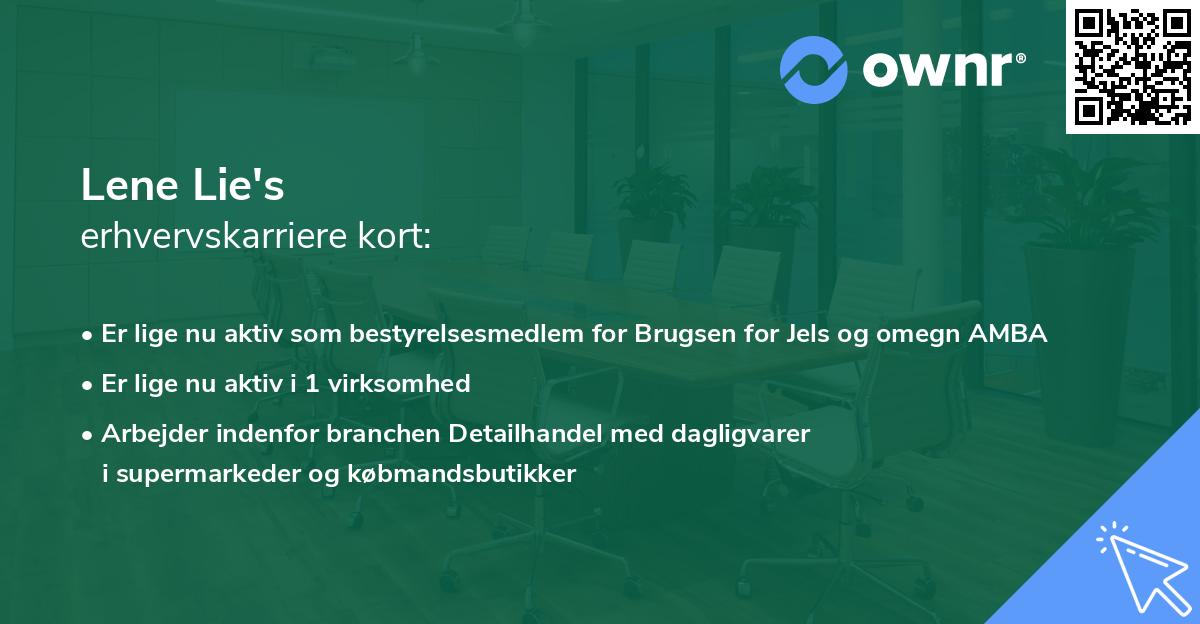 Lene Lie's erhvervskarriere kort