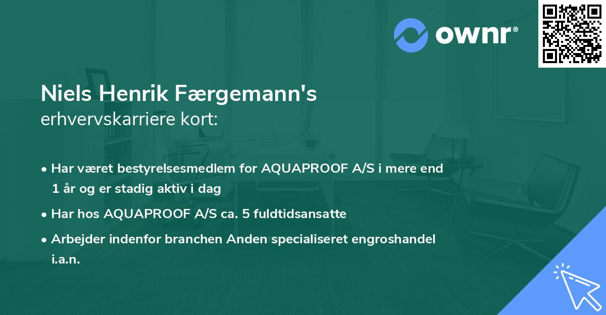 Niels Henrik Færgemann's erhvervskarriere kort