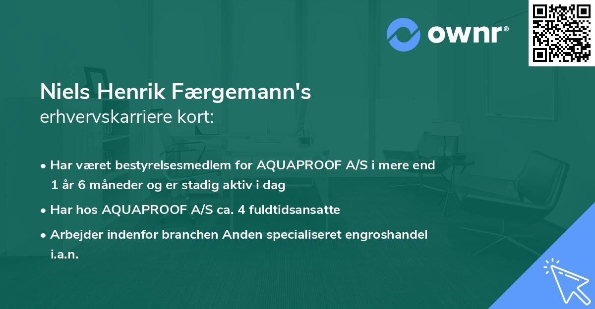 Niels Henrik Færgemann's erhvervskarriere kort
