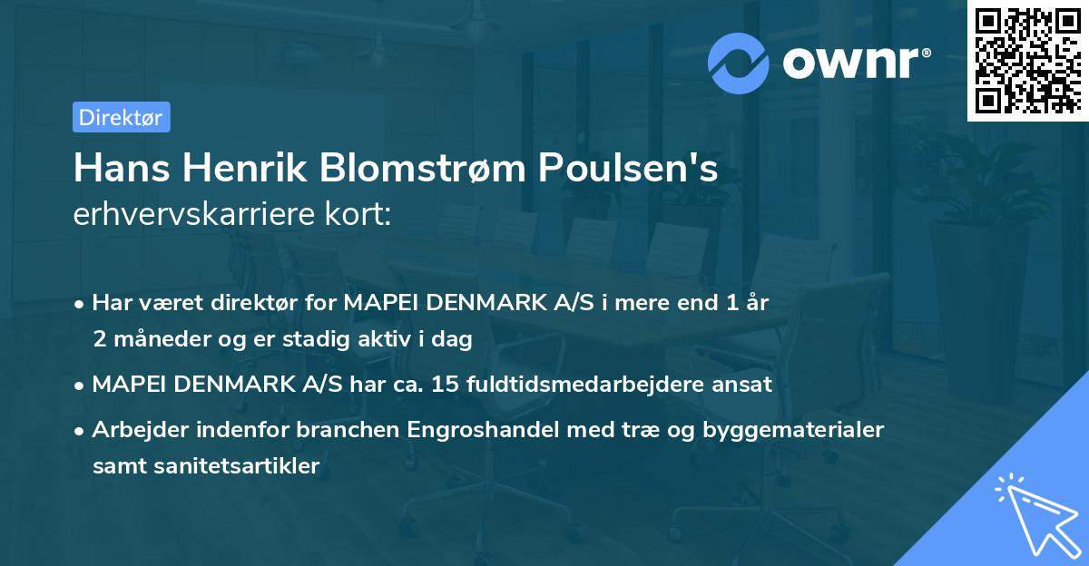 Hans Henrik Blomstrøm Poulsen's erhvervskarriere kort