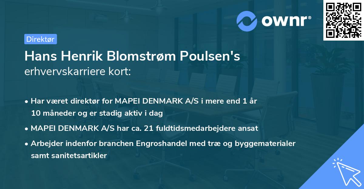Hans Henrik Blomstrøm Poulsen's erhvervskarriere kort