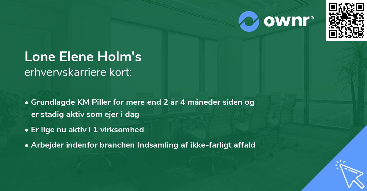 Lone Elene Holm's erhvervskarriere kort