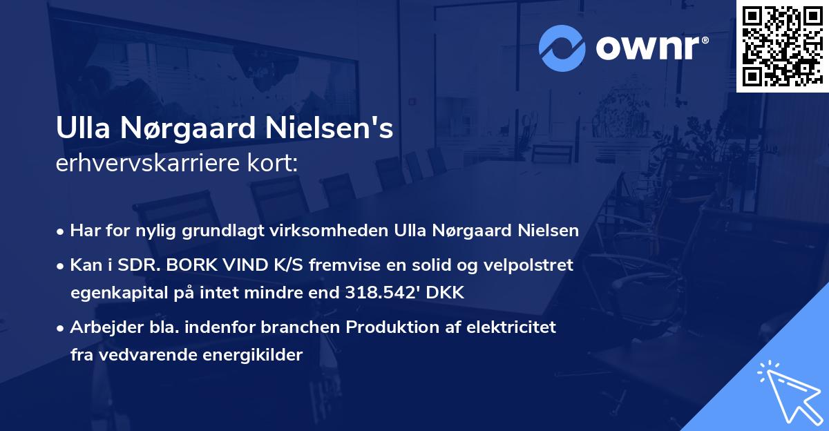 Ulla Nørgaard Nielsen's erhvervskarriere kort