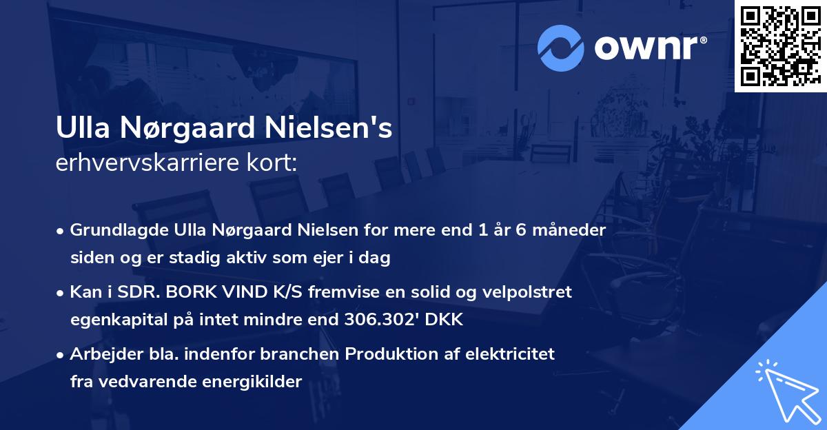 Ulla Nørgaard Nielsen's erhvervskarriere kort