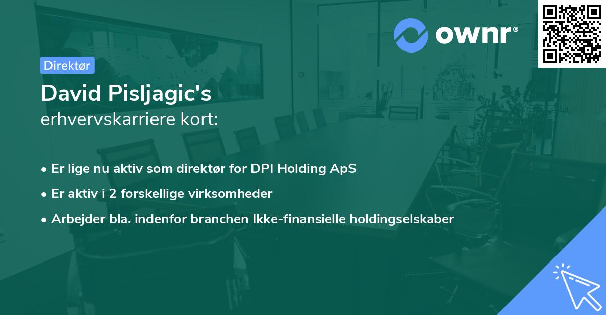 David Pisljagic's erhvervskarriere kort