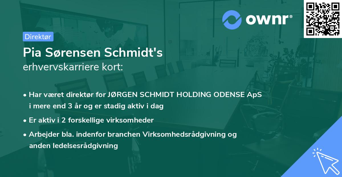 Pia Sørensen Schmidt's erhvervskarriere kort