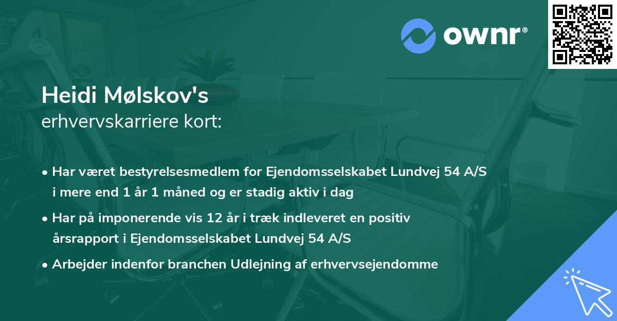 Heidi Mølskov's erhvervskarriere kort