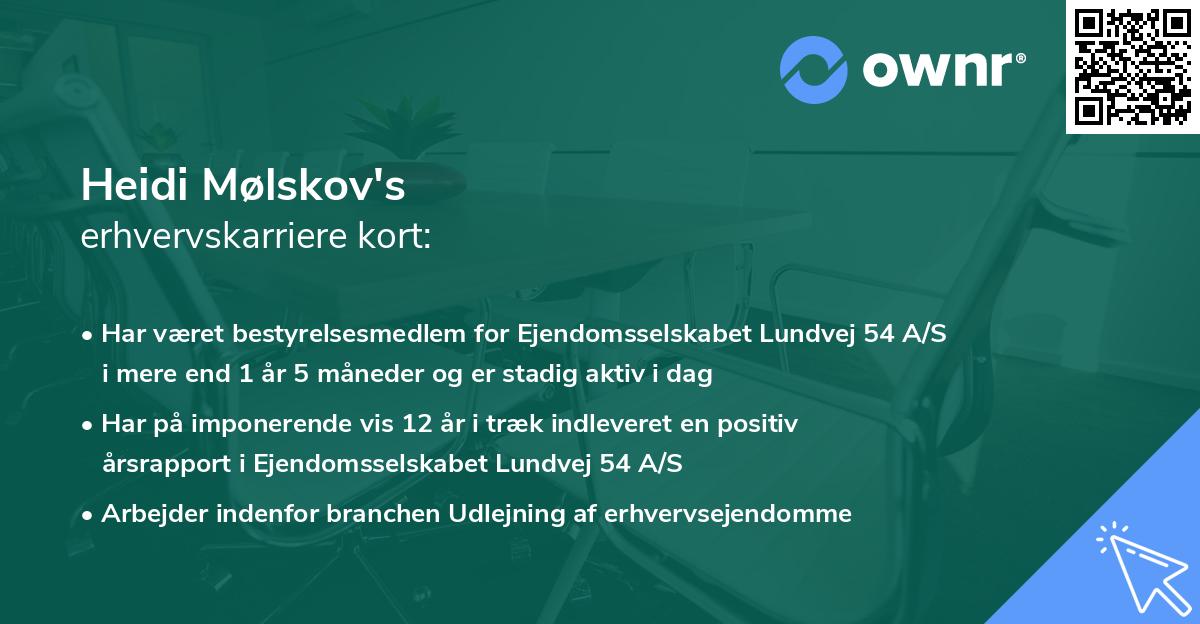 Heidi Mølskov's erhvervskarriere kort