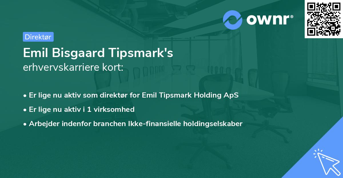 Emil Bisgaard Tipsmark's erhvervskarriere kort
