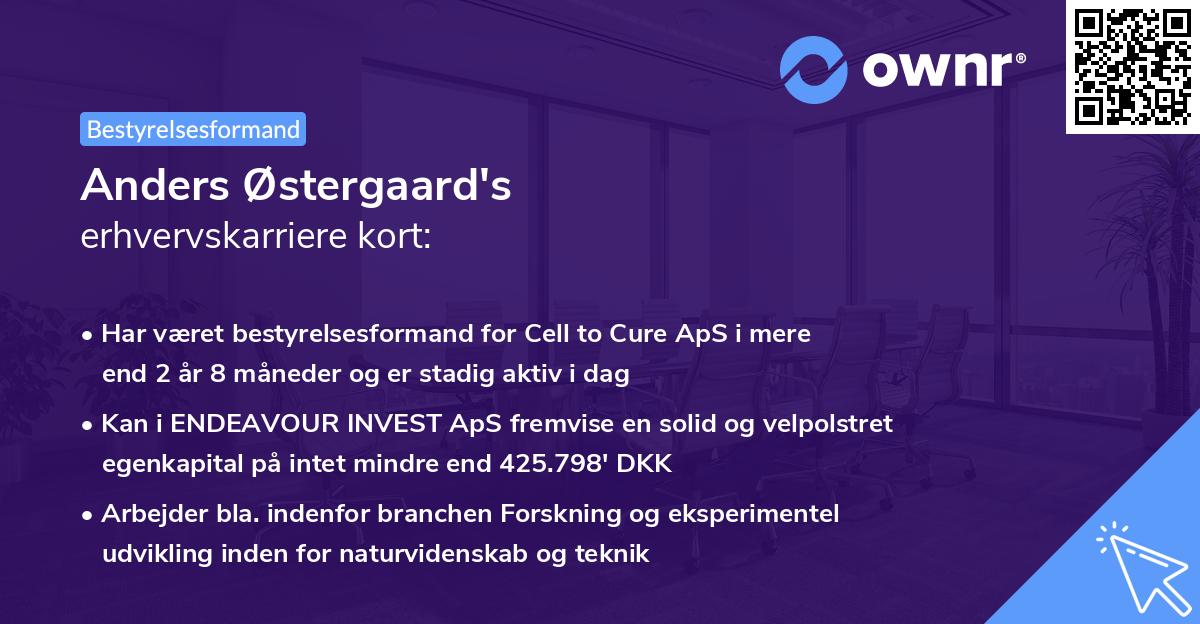 Anders Østergaard's erhvervskarriere kort