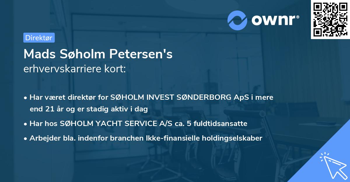 Mads Søholm Petersen's erhvervskarriere kort