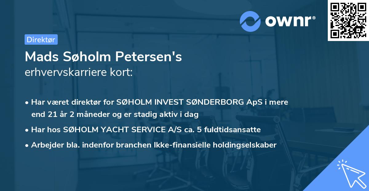 Mads Søholm Petersen's erhvervskarriere kort