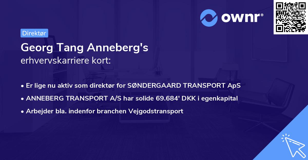 Georg Tang Anneberg's erhvervskarriere kort