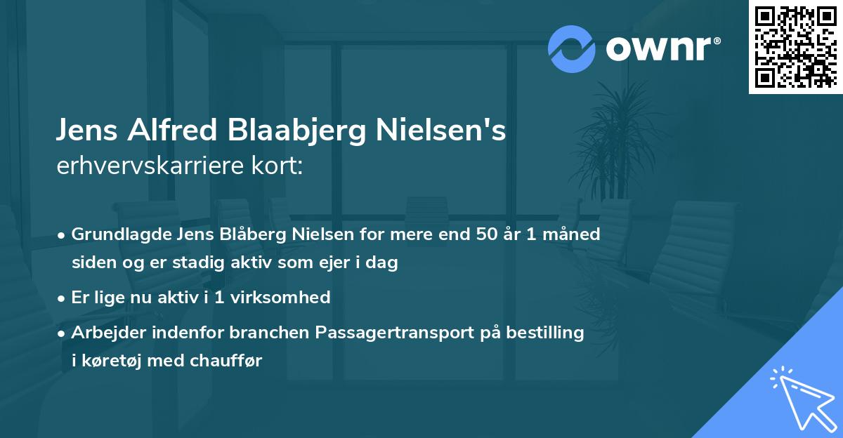 Jens Alfred Blaabjerg Nielsen's erhvervskarriere kort
