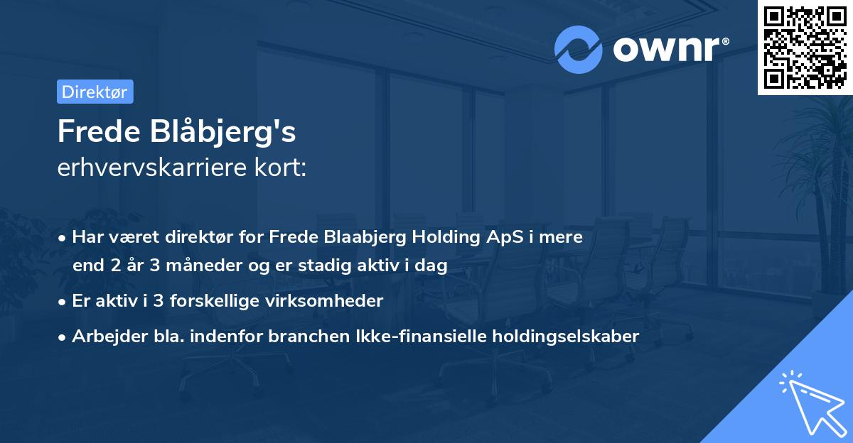 Frede Blåbjerg's erhvervskarriere kort