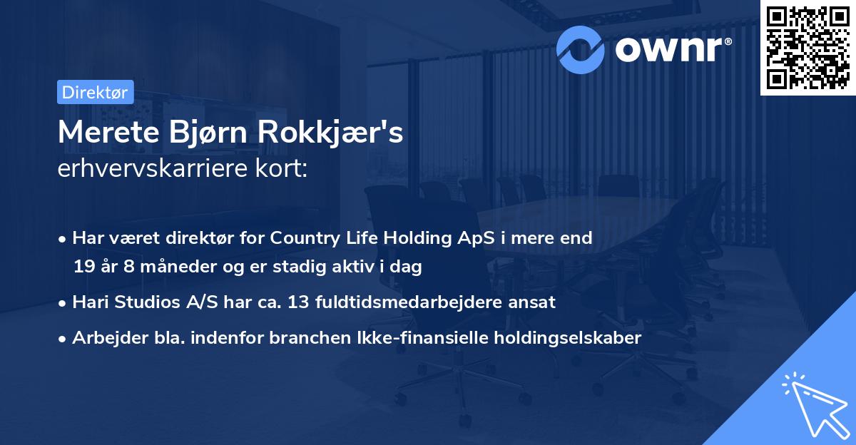 Merete Bjørn Rokkjær's erhvervskarriere kort