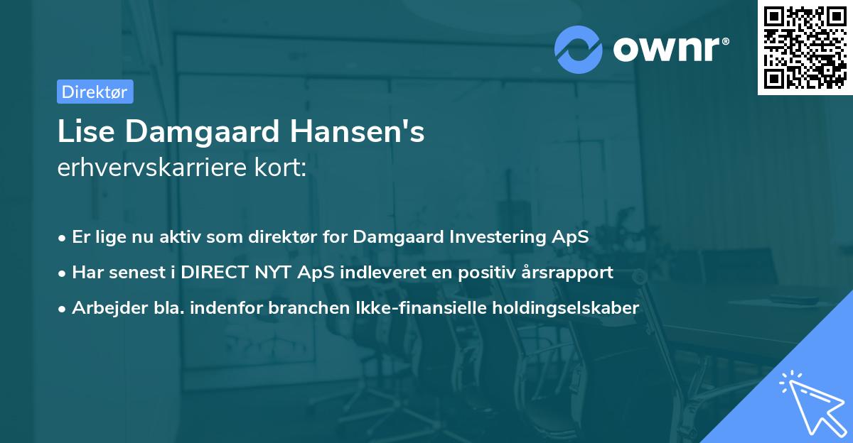 Lise Damgaard Hansen's erhvervskarriere kort