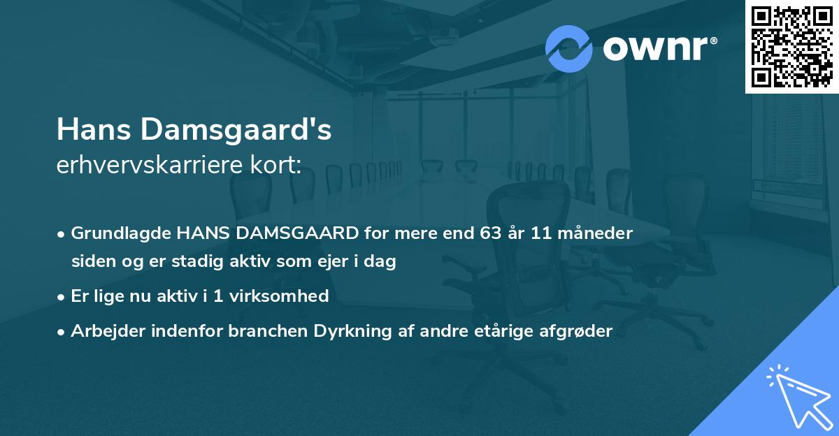 Hans Damsgaard's erhvervskarriere kort