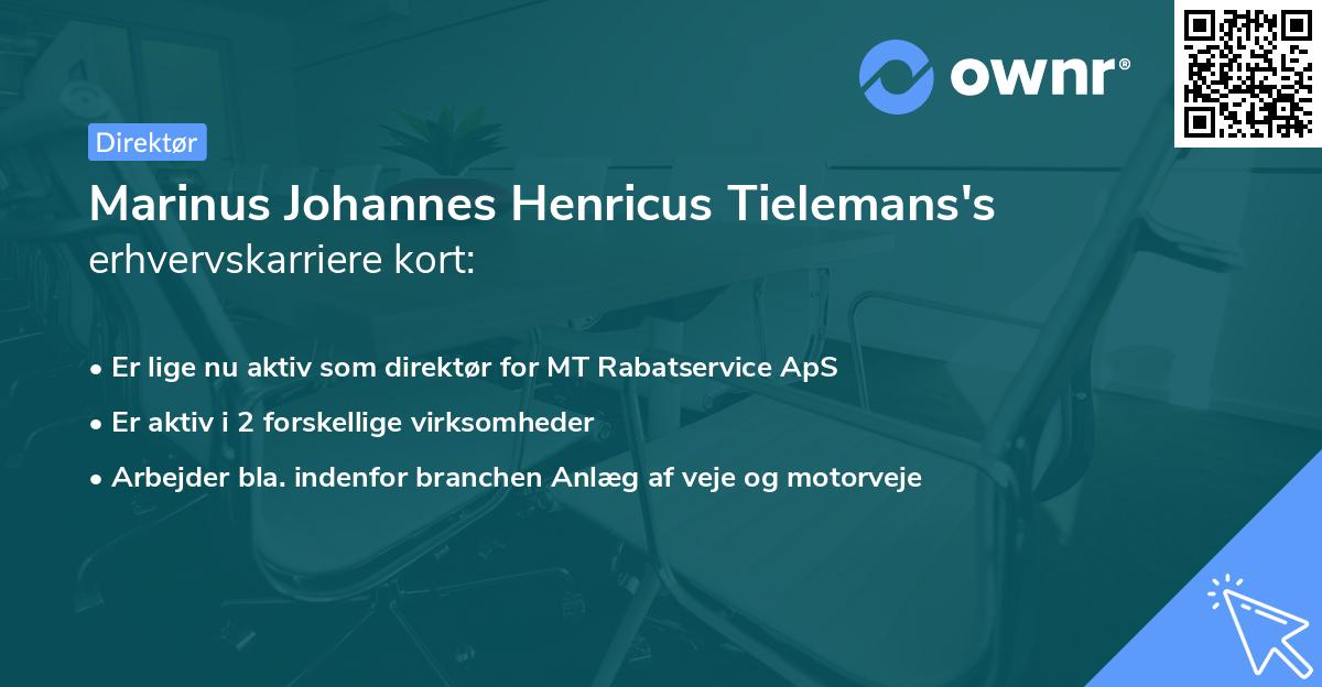 Marinus Johannes Henricus Tielemans's erhvervskarriere kort