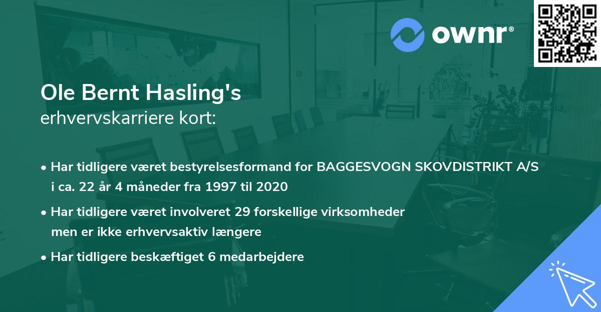 Ole Bernt Hasling's erhvervskarriere kort