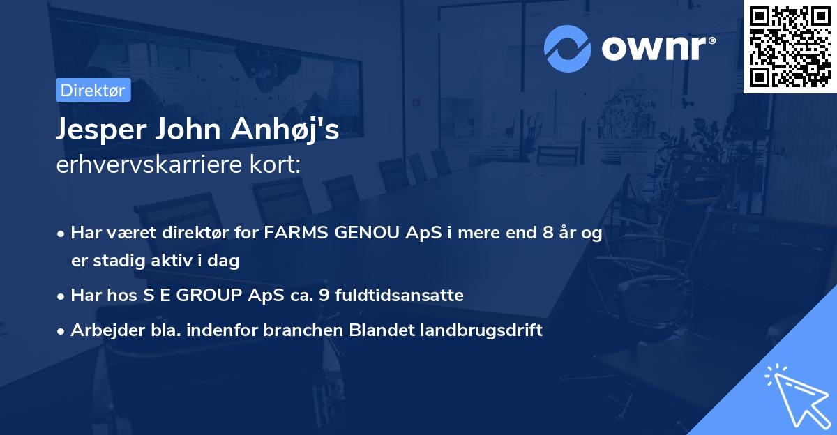 Jesper John Anhøj's erhvervskarriere kort