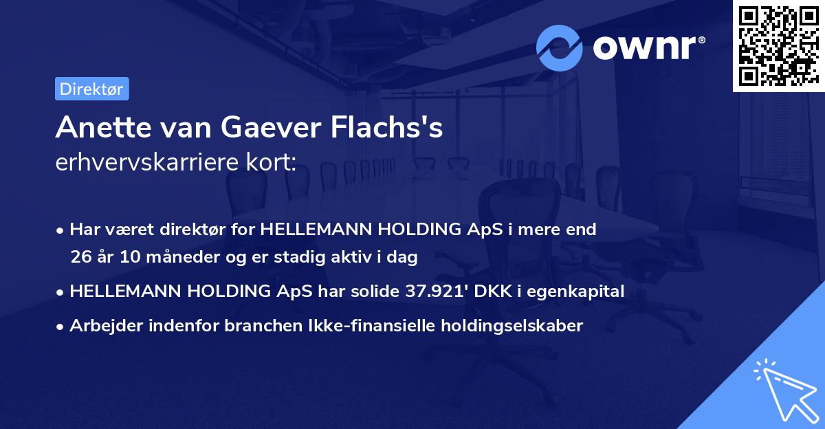 Anette van Gaever Flachs's erhvervskarriere kort