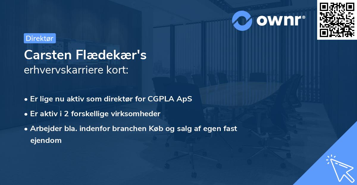 Carsten Flædekær's erhvervskarriere kort