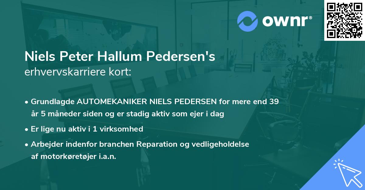 Niels Peter Hallum Pedersen's erhvervskarriere kort