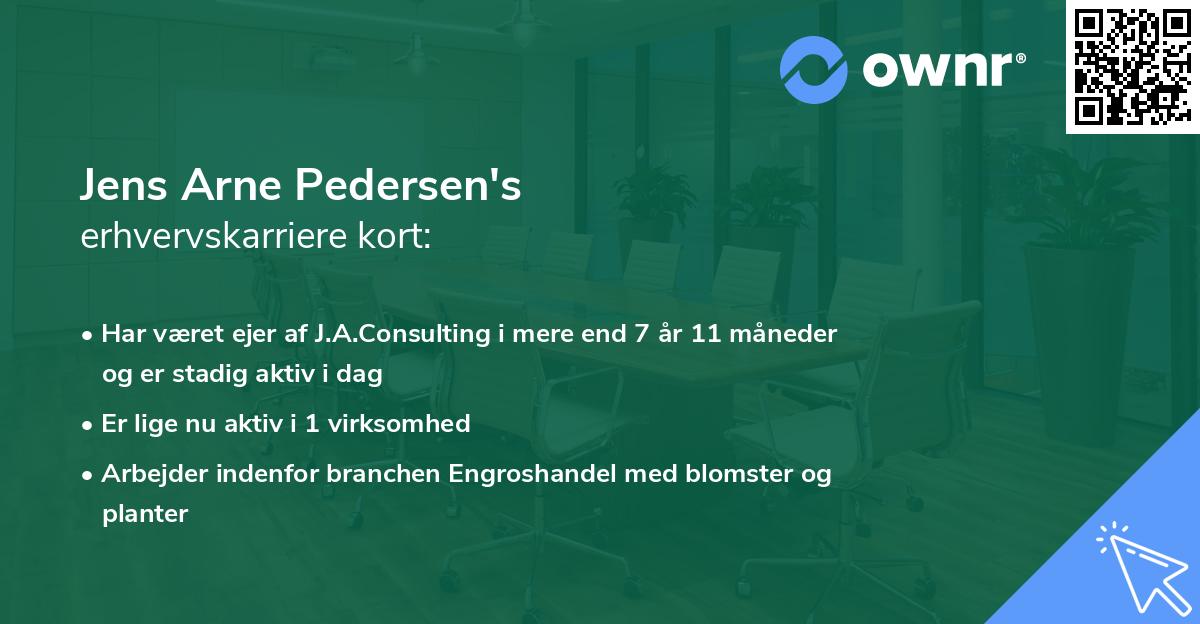 Jens Arne Pedersen's erhvervskarriere kort