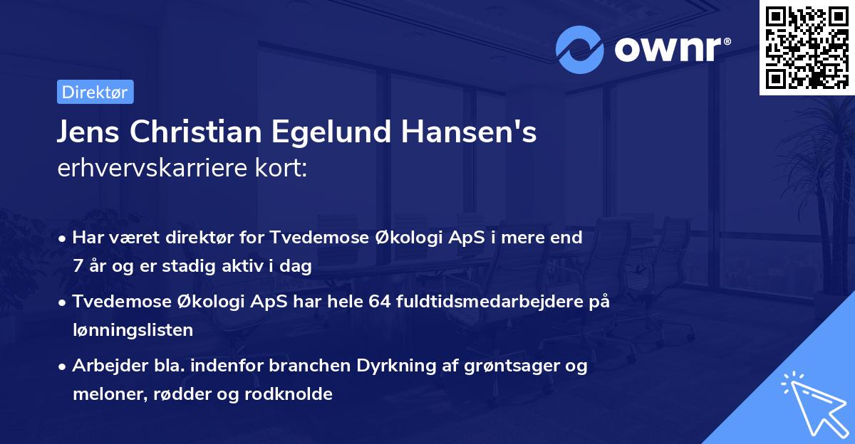 Jens Christian Egelund Hansen's erhvervskarriere kort