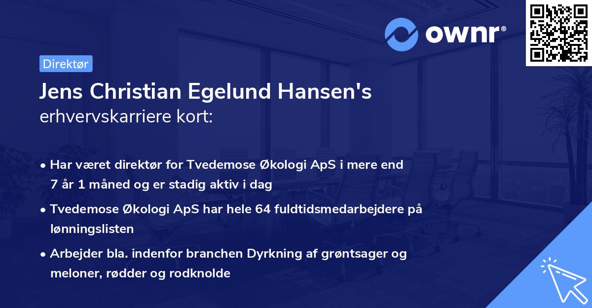 Jens Christian Egelund Hansen's erhvervskarriere kort