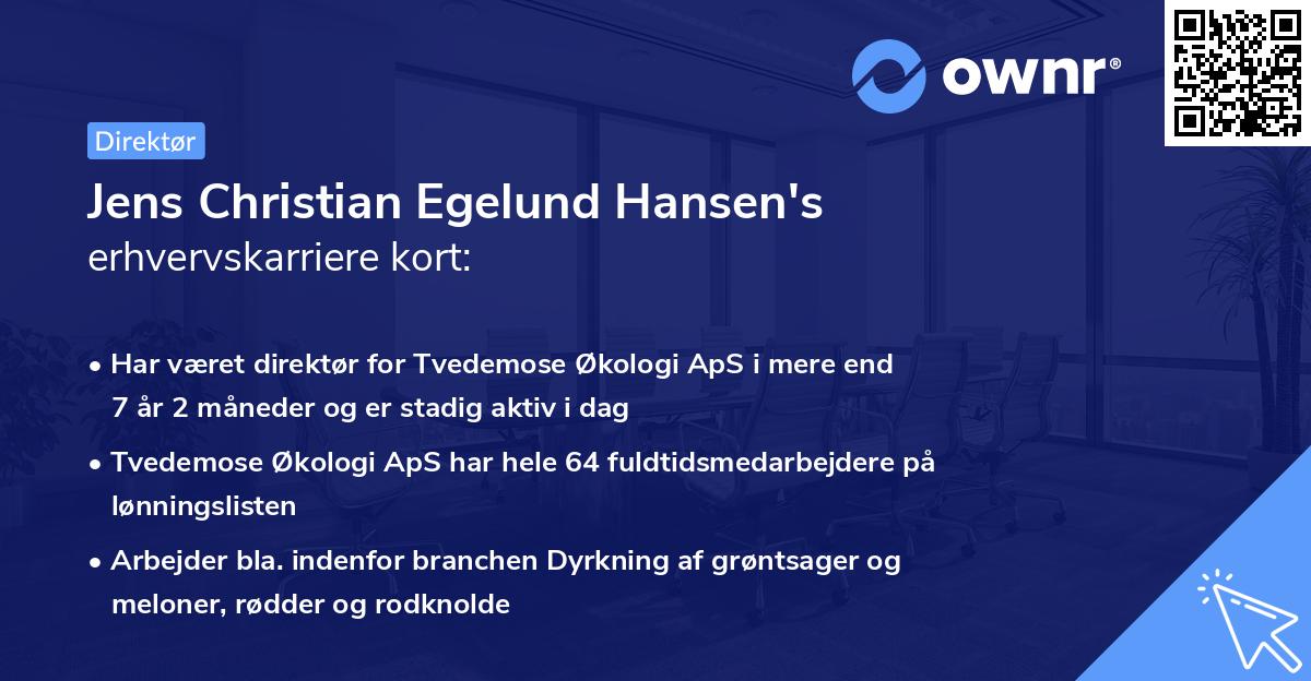 Jens Christian Egelund Hansen's erhvervskarriere kort