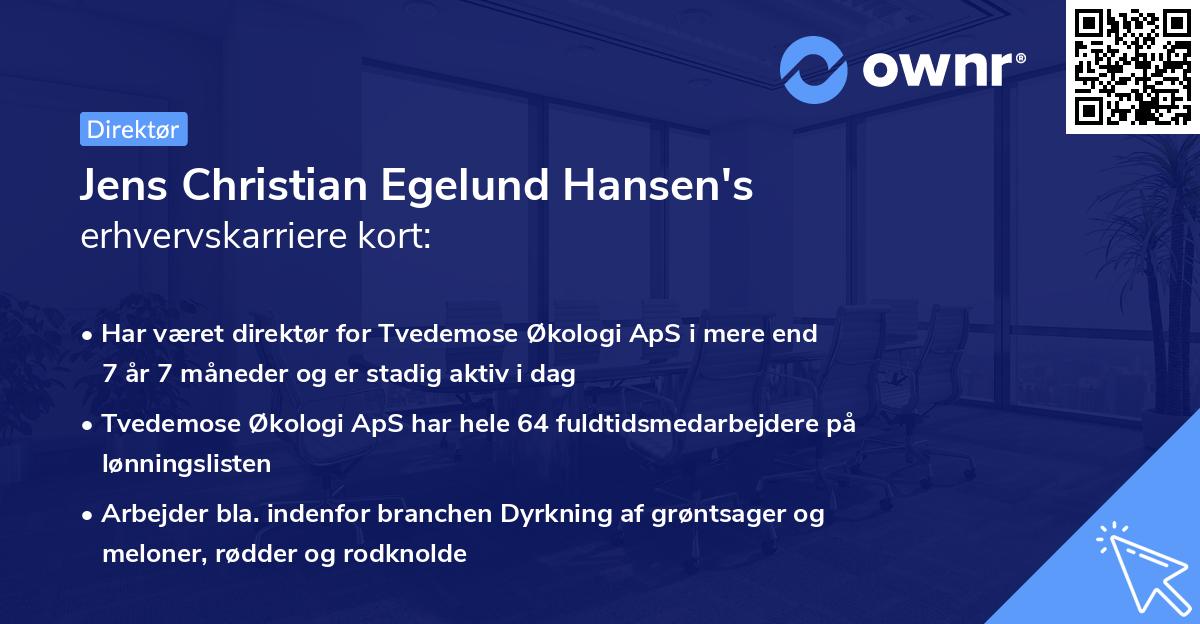 Jens Christian Egelund Hansen's erhvervskarriere kort