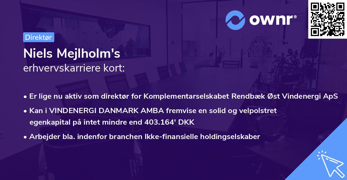 Niels Mejlholm's erhvervskarriere kort