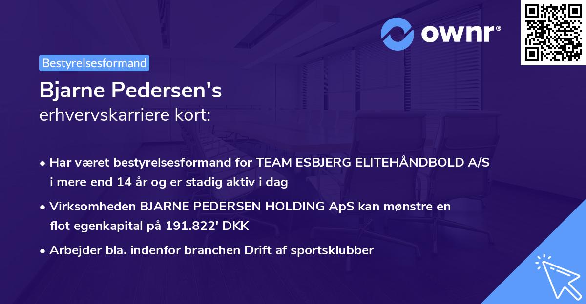 Bjarne Pedersen's erhvervskarriere kort