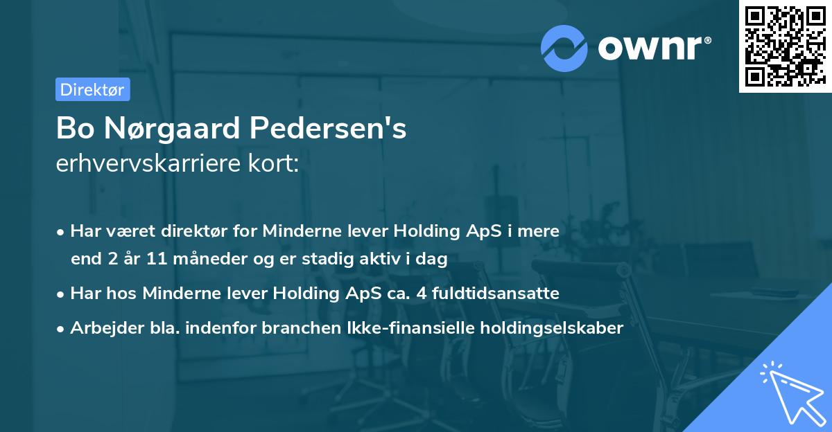 Bo Nørgaard Pedersen's erhvervskarriere kort