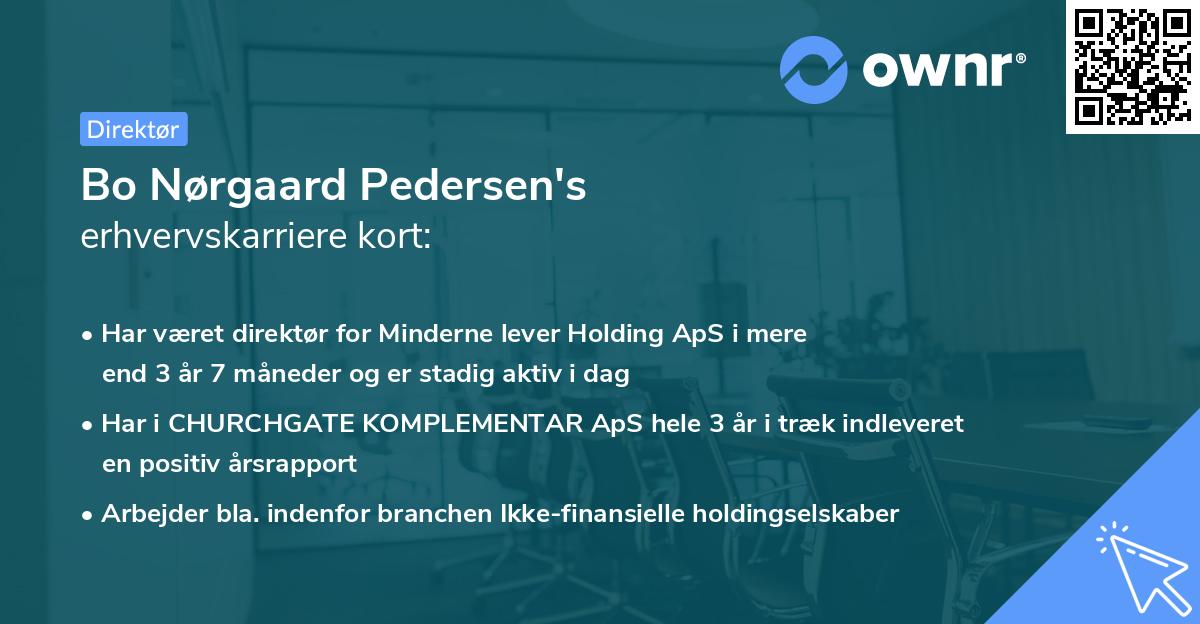 Bo Nørgaard Pedersen's erhvervskarriere kort