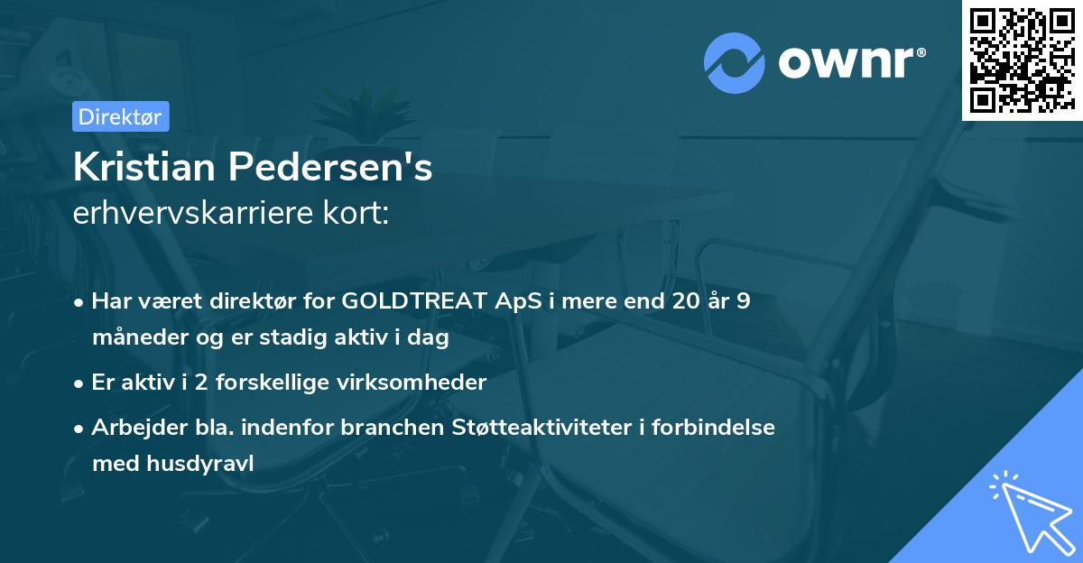 Kristian Pedersen's erhvervskarriere kort