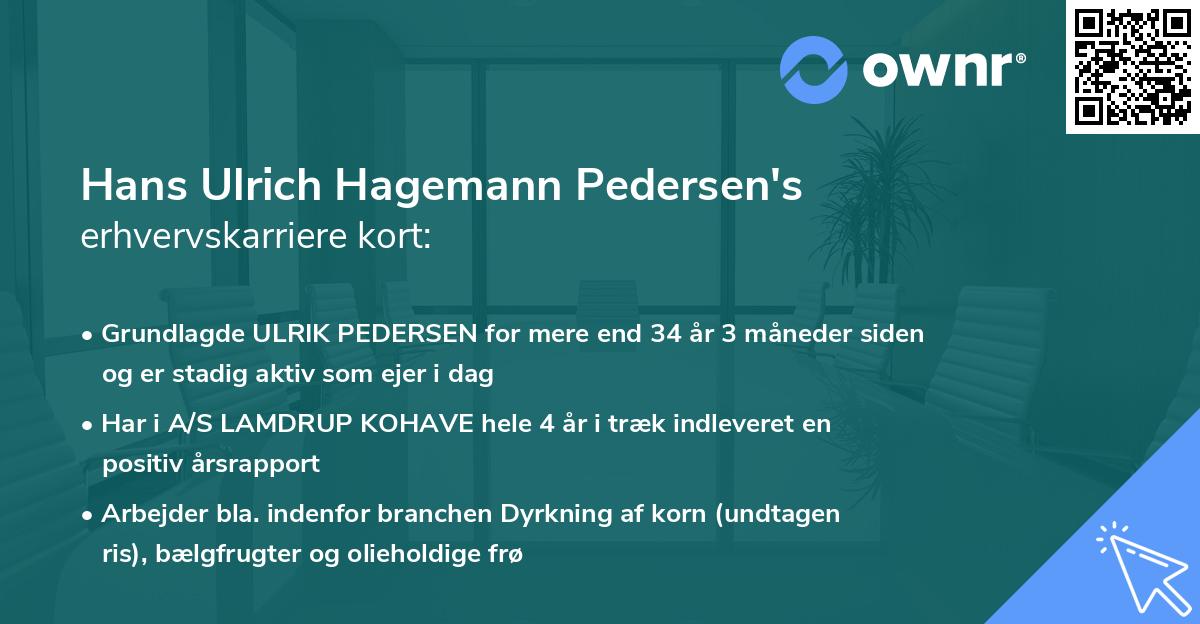 Hans Ulrich Hagemann Pedersen's erhvervskarriere kort