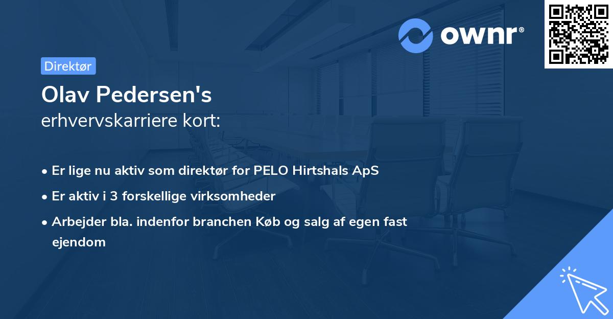 Olav Pedersen's erhvervskarriere kort