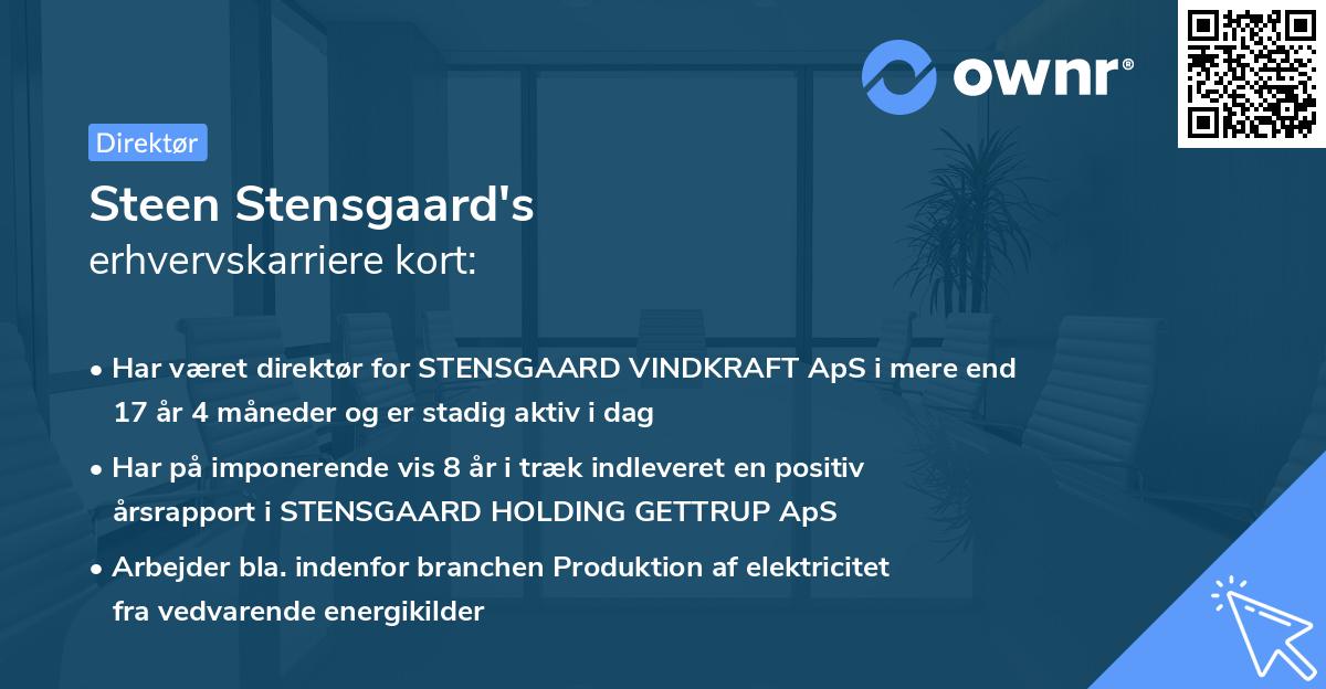 Steen Stensgaard's erhvervskarriere kort
