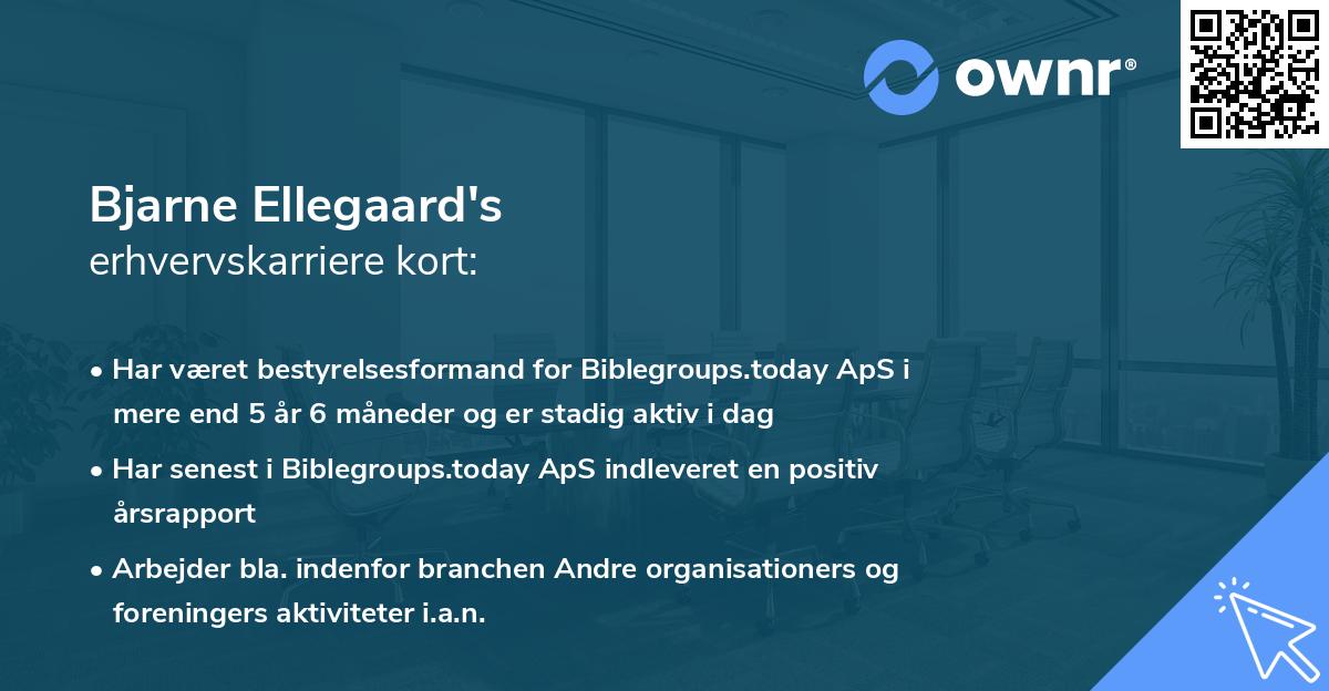 Bjarne Ellegaard's erhvervskarriere kort